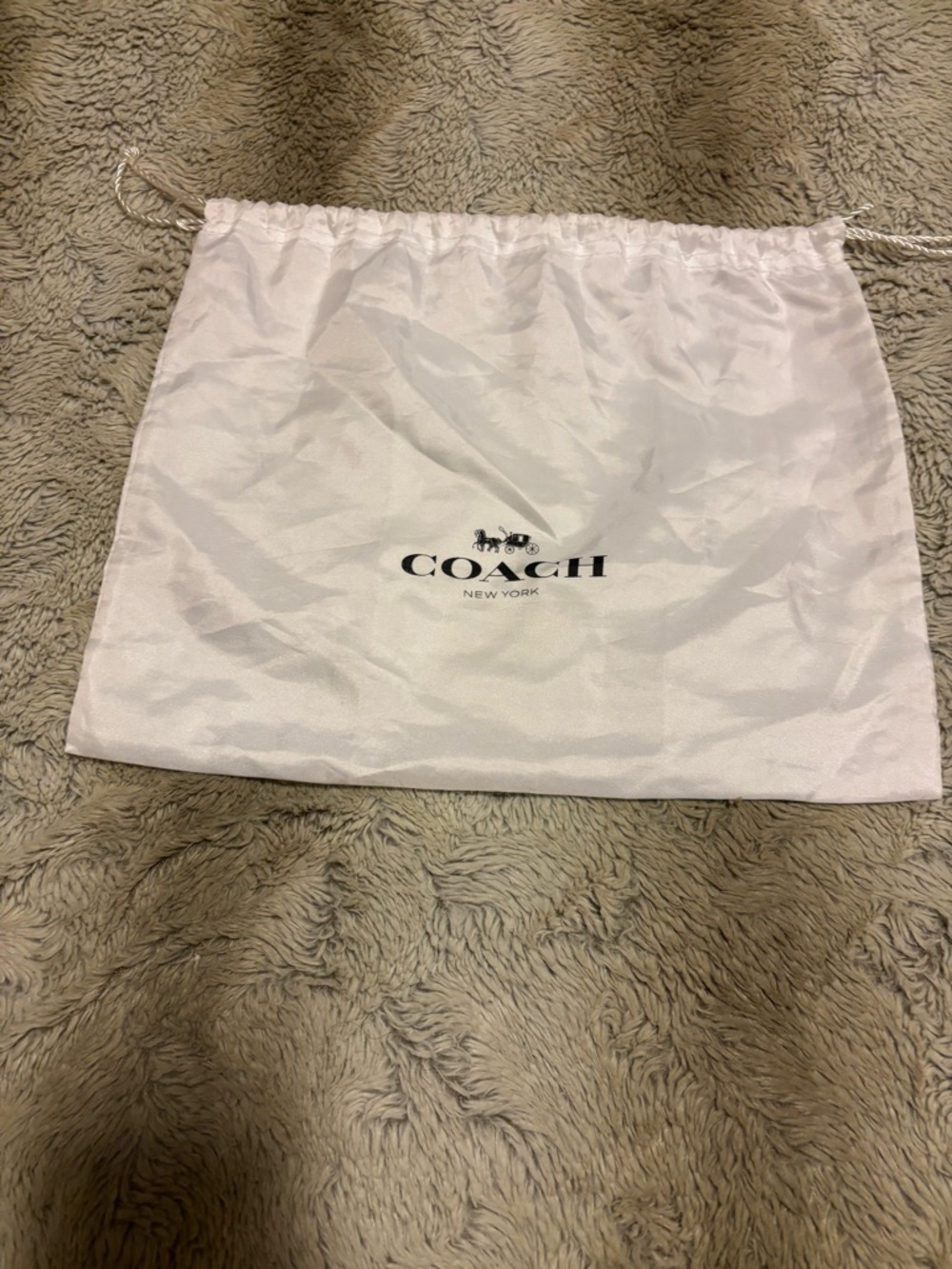 Coach Dust Bag - Picture 2 of 5